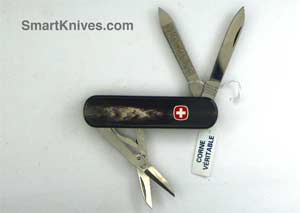 Esquire Buffalo Horn Swiss Army knife