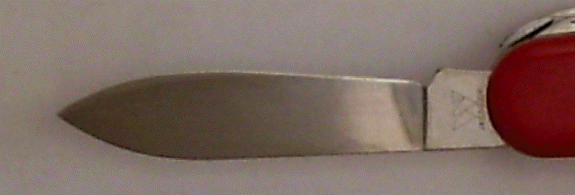 Swiss Army Knife Medium Blade